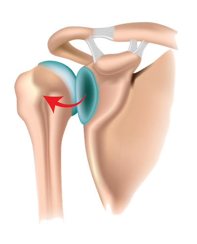 Physiotherapy posterior stabilisation leaflet